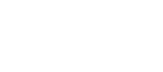 Amati41
